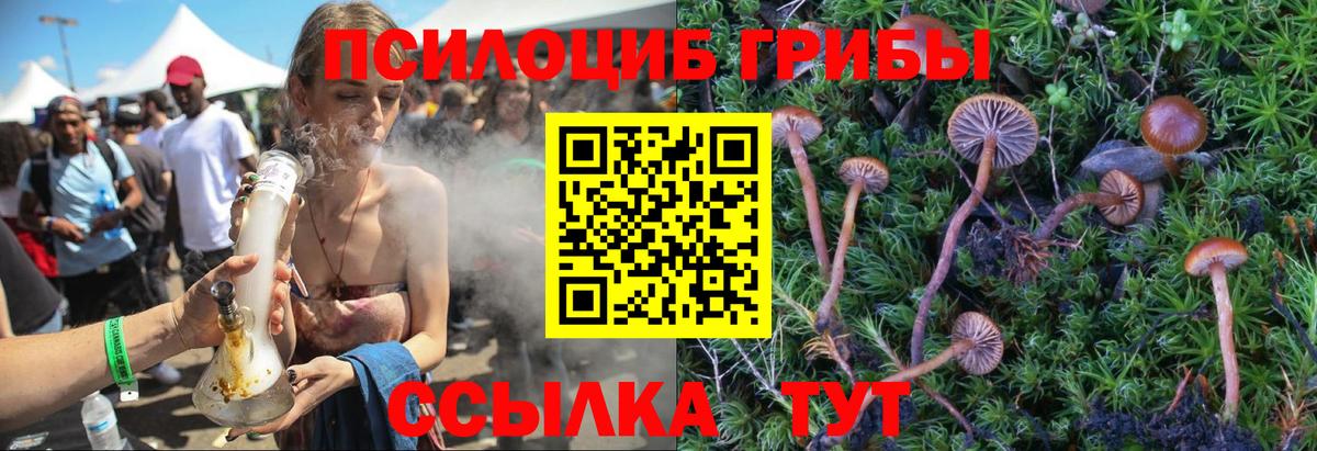 Галлюциногенные грибы мухоморы Полевской