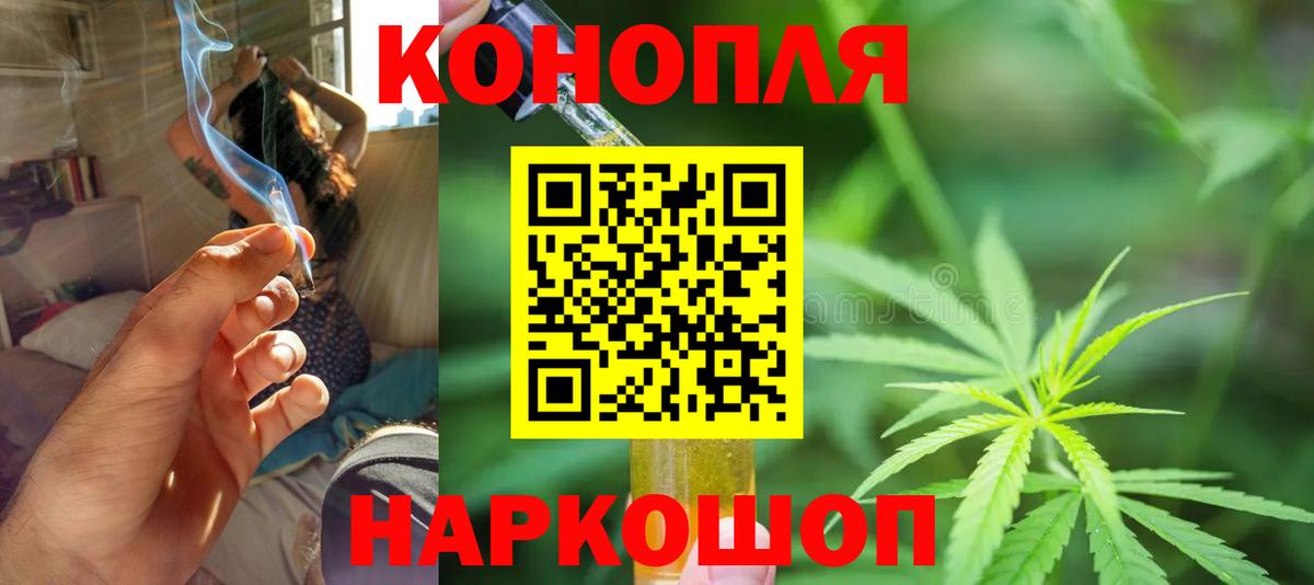 Конопля OG Kush Полевской